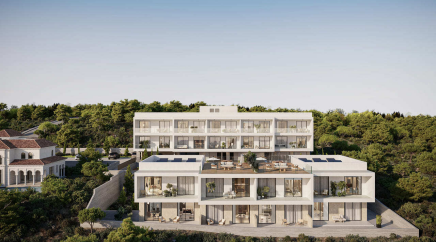 section catalog photo