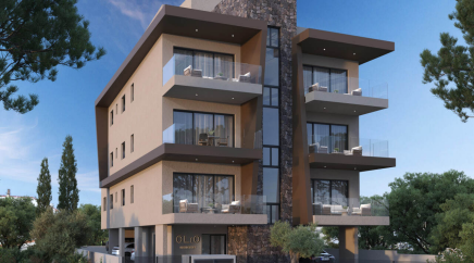 section catalog photo