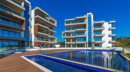 section catalog photo