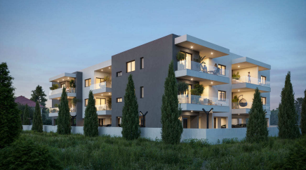 section catalog photo