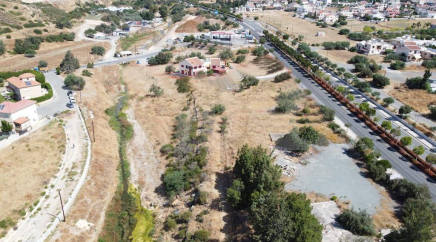 section catalog photo