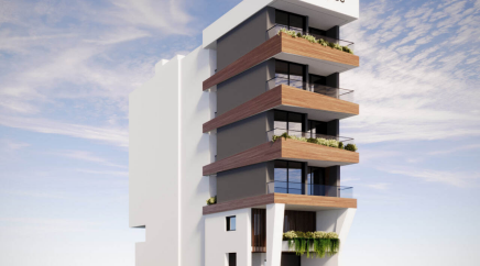 section catalog photo