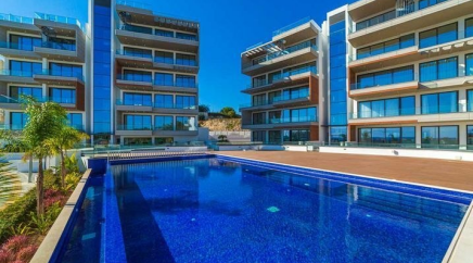 section catalog photo