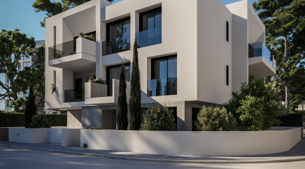 section catalog photo