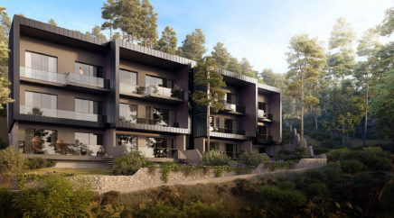 section catalog photo