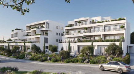 section catalog photo