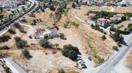 section catalog photo