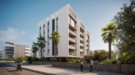 section catalog photo