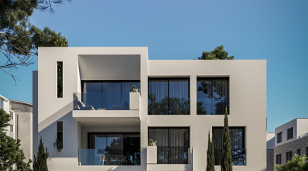 section catalog photo