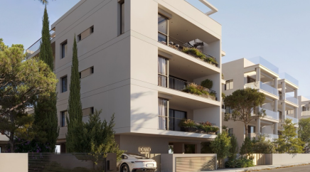 section catalog photo