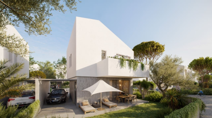 section catalog photo