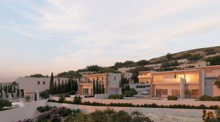 section catalog photo