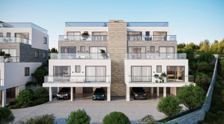 section catalog photo