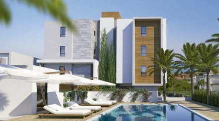 section catalog photo