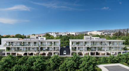 section catalog photo