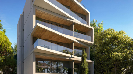 section catalog photo