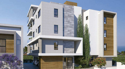 section catalog photo