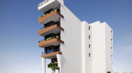 section catalog photo