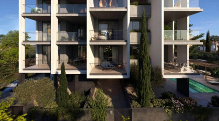 section catalog photo