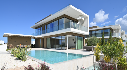 section catalog photo