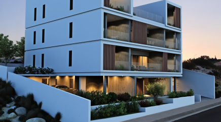 section catalog photo