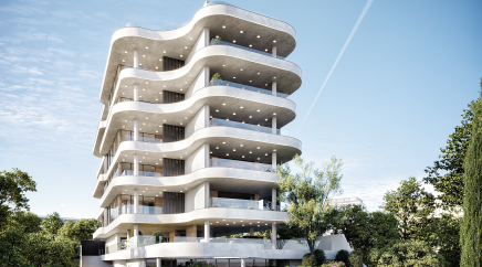 section catalog photo