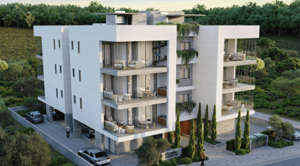 section catalog photo