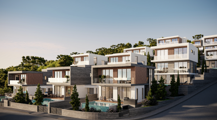 section catalog photo