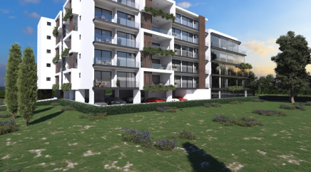 section catalog photo