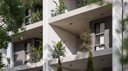 section catalog photo