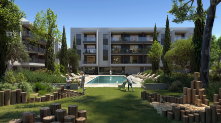 section catalog photo