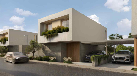 section catalog photo