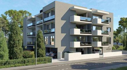 section catalog photo