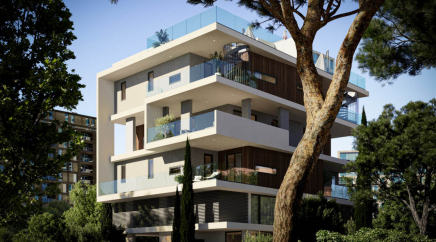 section catalog photo