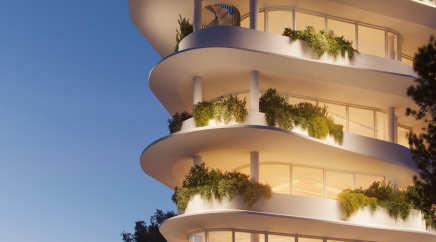 section catalog photo