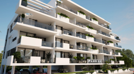 section catalog photo