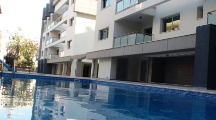 section catalog photo