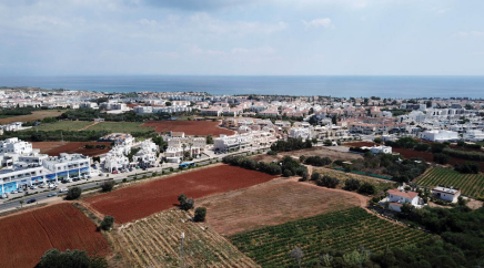 section catalog photo