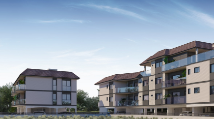 section catalog photo