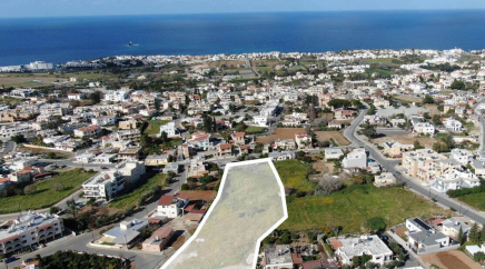 section catalog photo