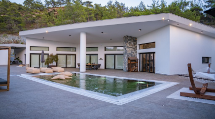 section catalog photo