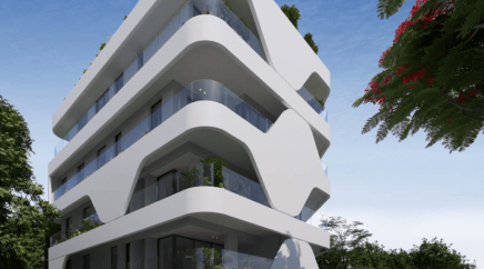 section catalog photo