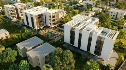 section catalog photo