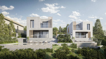 section catalog photo