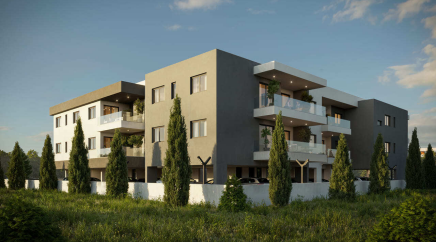 section catalog photo