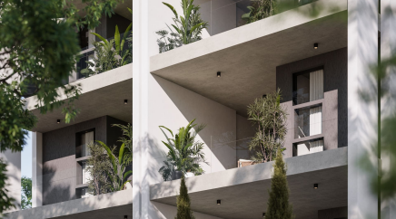 section catalog photo