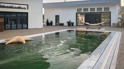 section catalog photo