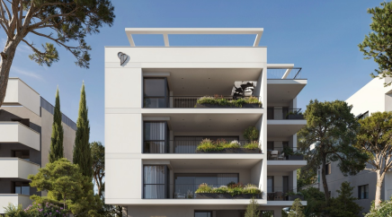 section catalog photo