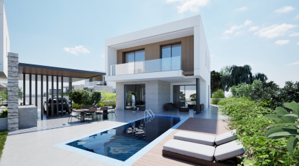 section catalog photo