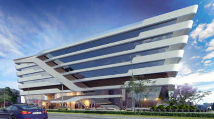 section catalog photo